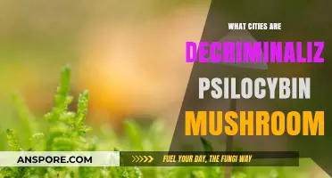 Cities Leading the Way: Decriminalizing Psilocybin Mushrooms Across the US