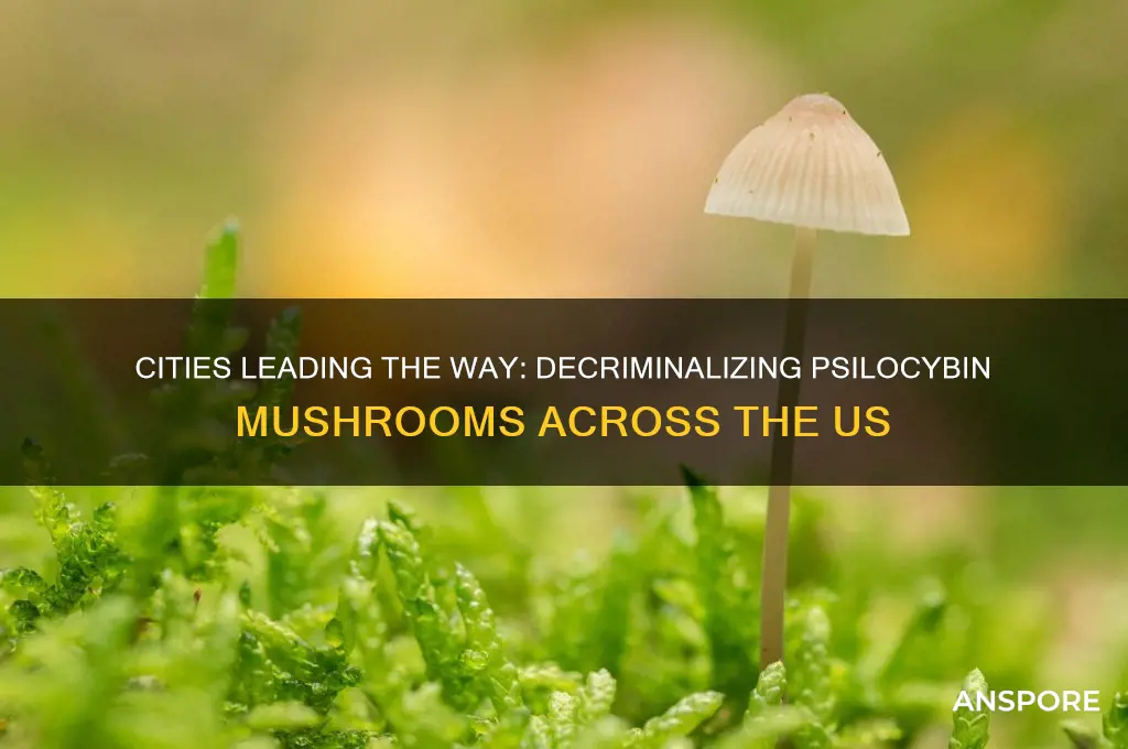 what cities are decriminalizing psilocybin mushrooms