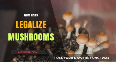 Exploring Cities Where Magic Mushrooms Are Now Legalized