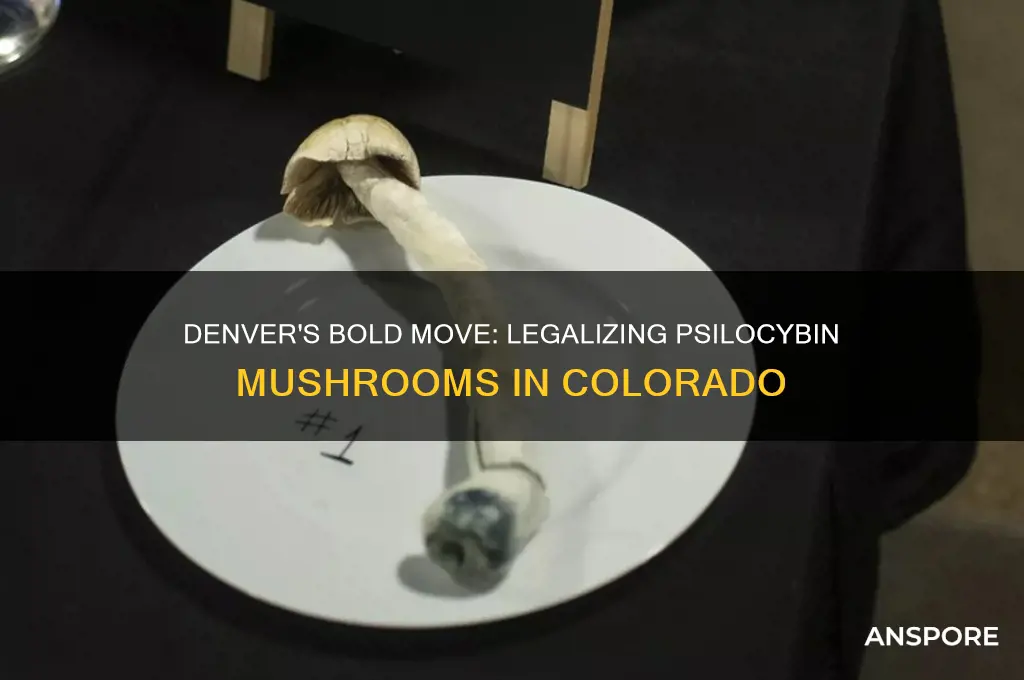 what city in colorado leaglized mushrooms