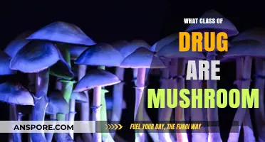 Exploring Psilocybin: Understanding the Drug Class of Magic Mushrooms