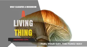 Are Mushrooms Alive? Exploring Their Classification as Living Organisms