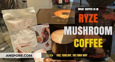 Discover the Unique Blend: Coffee Ingredients in Ryze Mushroom Coffee