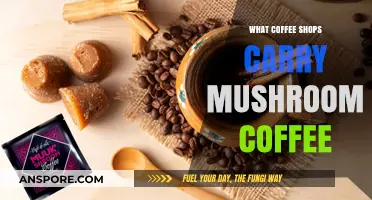 Discover Where to Find Mushroom Coffee at Local Coffee Shops