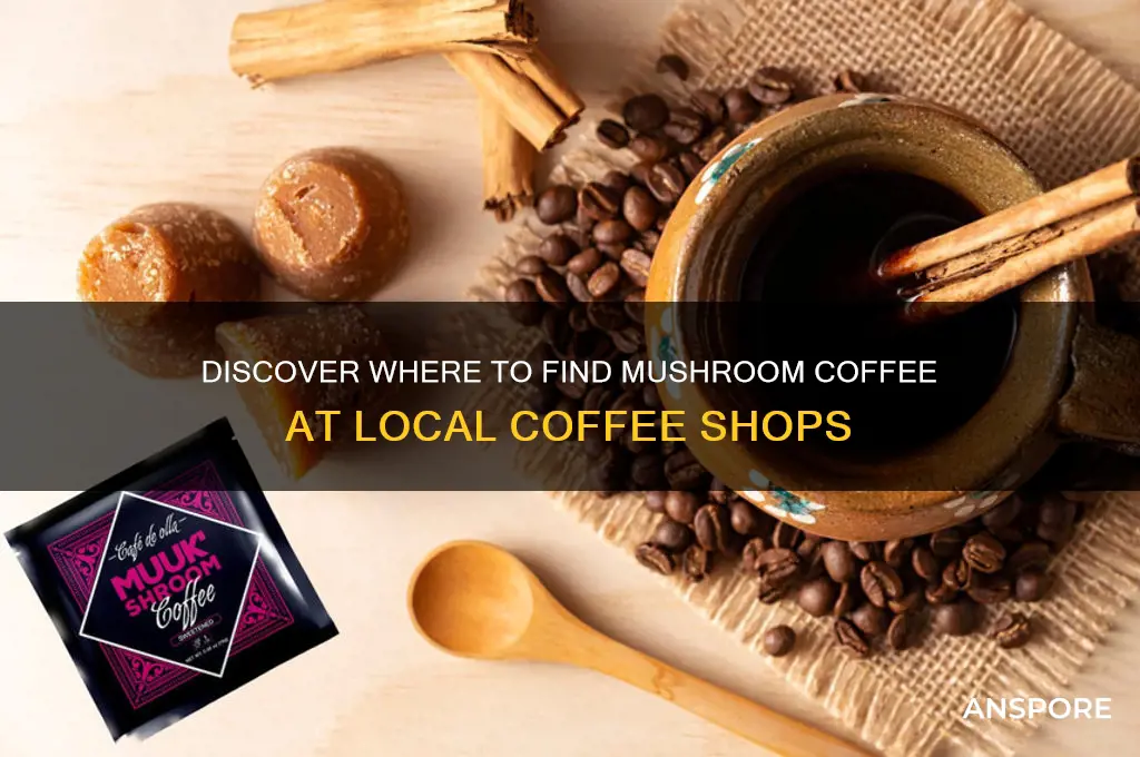 what coffee shops carry mushroom coffee