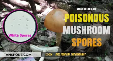 Poisonous Mushroom Spores: Unveiling Their Deceptive and Deadly Colors