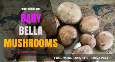 What Color Are Baby Bella Mushrooms? A Tasty Guide