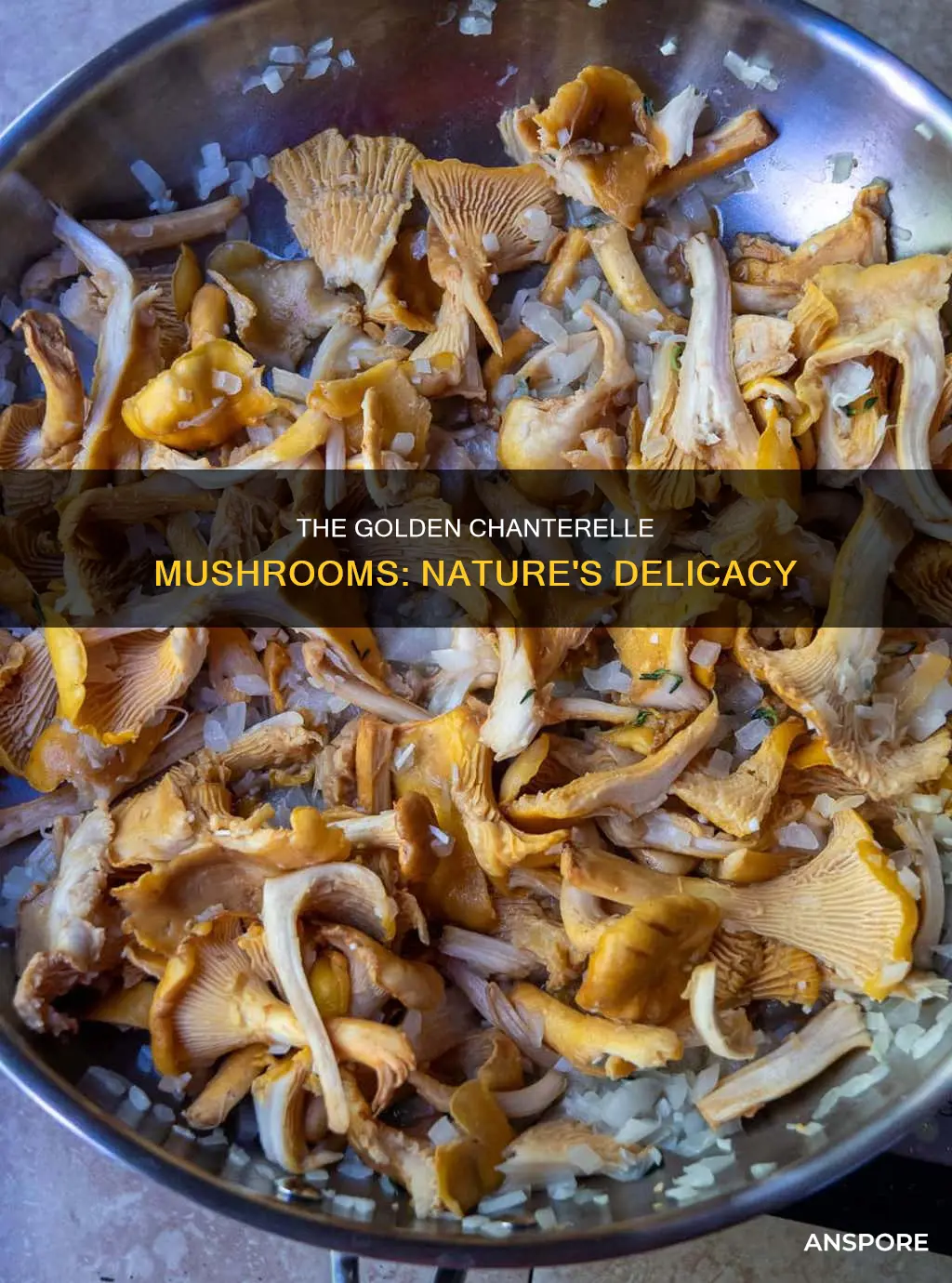 what color are chanterelle mushrooms