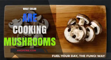 Exploring the Natural Hues of Cooking Mushrooms: A Color Guide