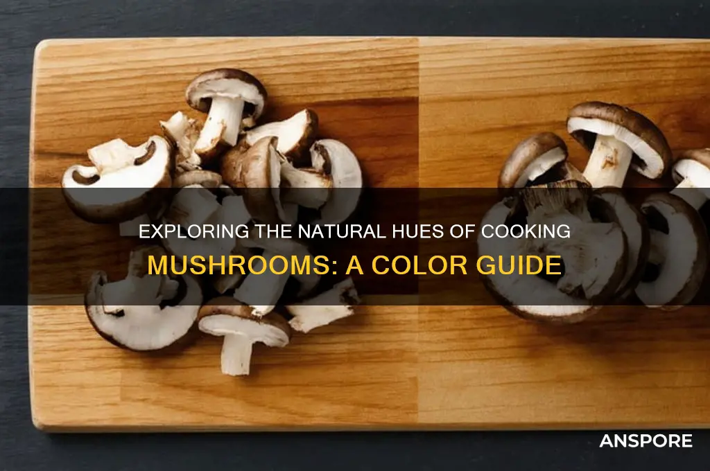 what color are cooking mushrooms