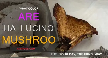 The Color Spectrum of Hallucinogenic Mushrooms