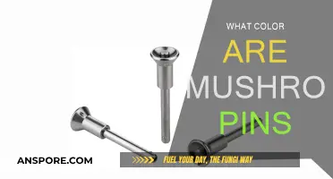 Mushroom Pins: A Colorful Adventure