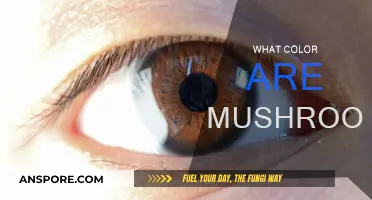 Mushroom Color Varieties: A Natural Rainbow