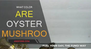 The Many Shades of Oyster Mushrooms