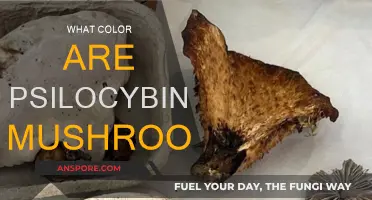 The Color Spectrum of Magic Mushrooms