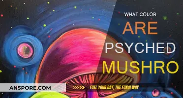 The Color Spectrum of Psychedelic Mushrooms