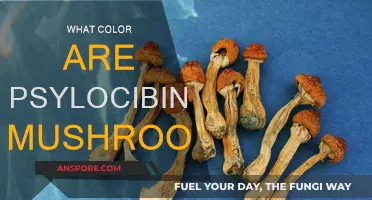 The Color Spectrum of Magic Mushrooms