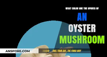 Unveiling the Color of Oyster Mushroom Spores: A Detailed Guide