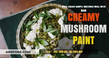 Creamy Mushroom Walls: Best Carpet Colors to Complement Behr Paint