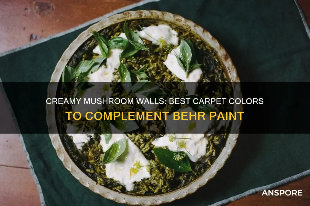what color carpet matches well with behr creamy mushroom paint