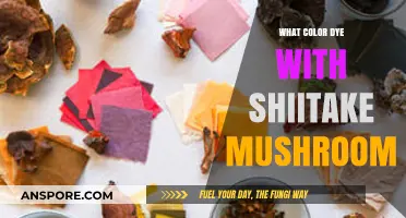 Shiitake Mushroom Dye: Discovering Natural Color Options for Fabric and Crafts