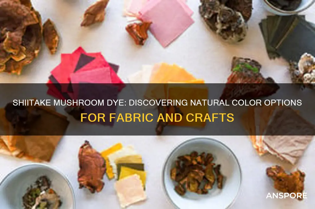 what color dye with shiitake mushroom