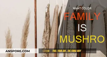 Mushroom Color Family: Exploring the Neutral Tones