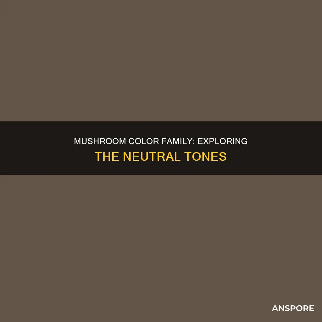 what color family is mushroom