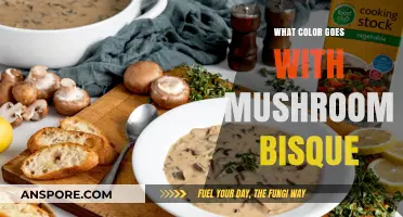 Mushroom Bisque Color Harmony: Perfect Palette Pairings for Your Space