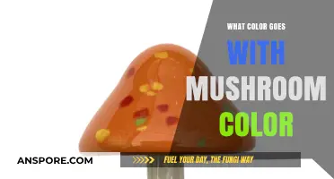 Mushroom Color Harmony: Perfect Pairings for a Cozy, Earthy Palette