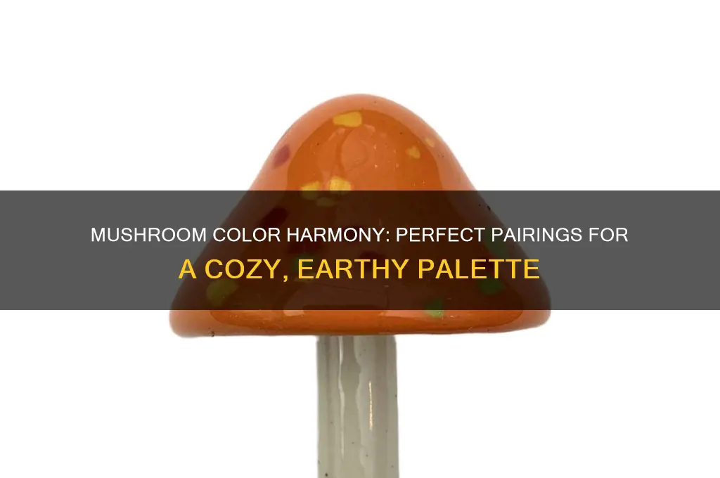 what color goes with mushroom color