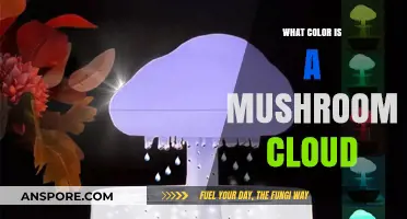 Unveiling the Eerie Hue of a Mushroom Cloud: A Scientific Exploration