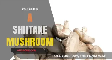 Exploring the Natural Hue of Shiitake Mushrooms: A Color Guide