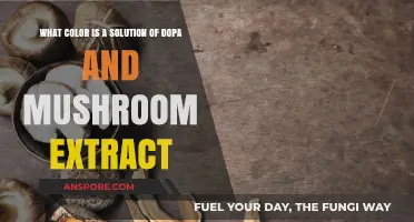 Exploring the Unique Hue of Dopa and Mushroom Extract Solutions