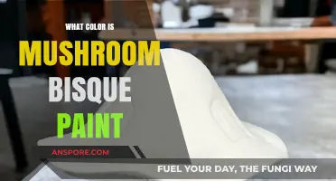 Mushroom Bisque Paint Color: A Warm Neutral Hue Explained