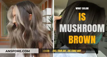 Explore Mushroom Brown: The Ultimate Color Guide