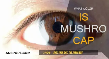 Mushroom Caps: Exploring Nature's Color Wheel