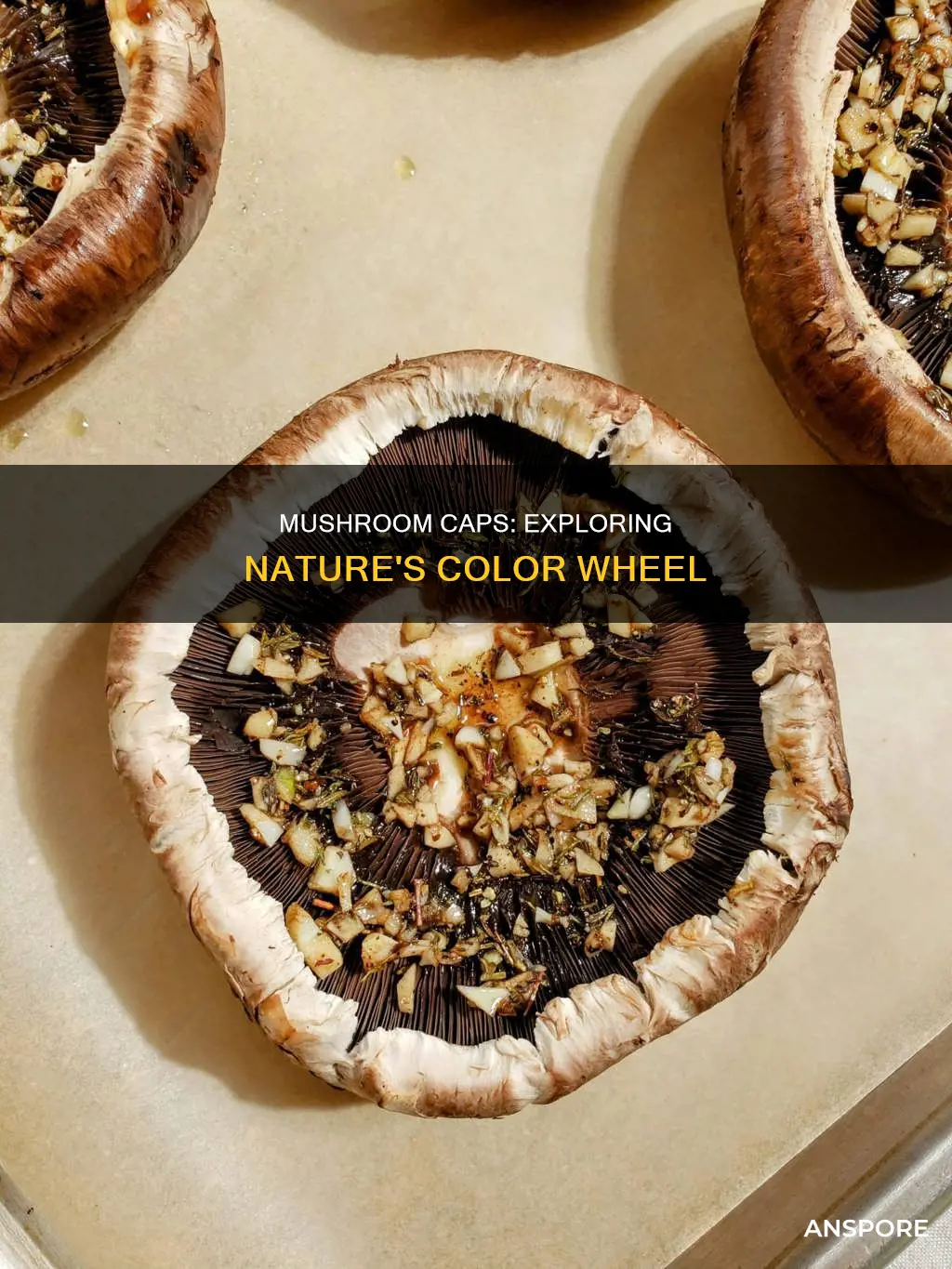 what color is mushroom cap