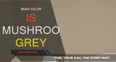 Mushroom Grey: A Warm or Cool Neutral?