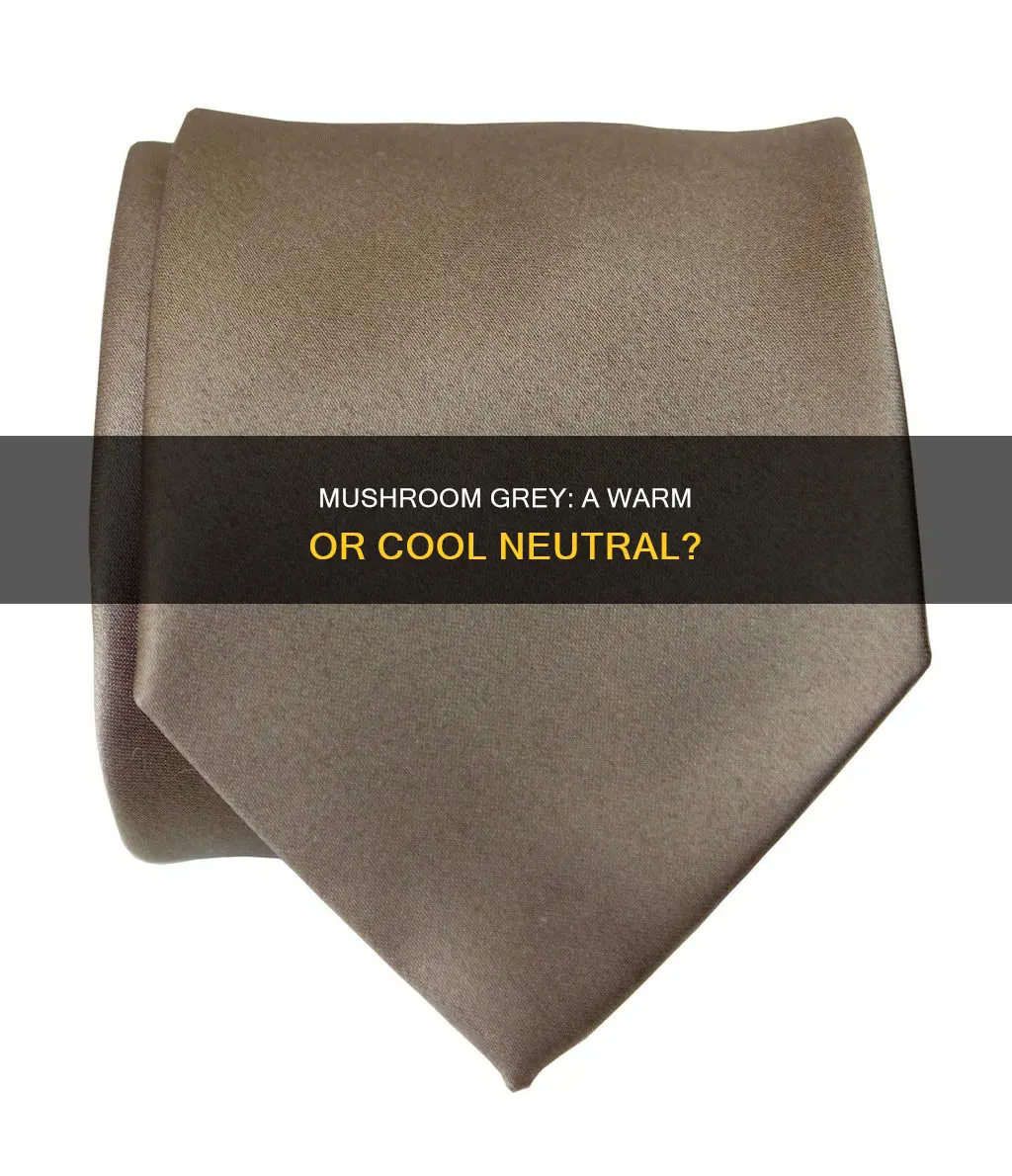 what color is mushroom grey