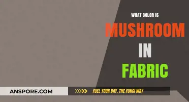 Exploring Mushroom Fabric Color: Shades, Trends, and Styling Tips