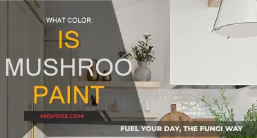 Explore Mushroom Paint: A Neutral Color Choice