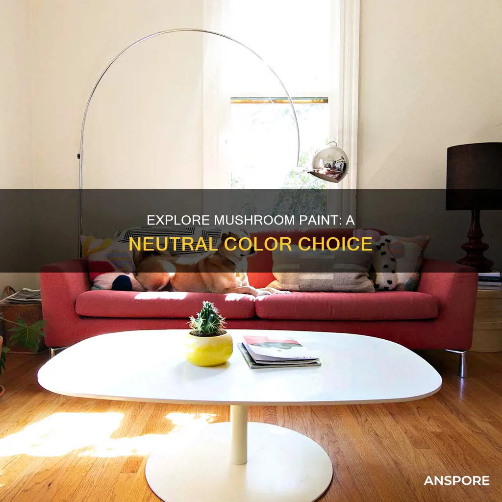 what color is mushroom paint