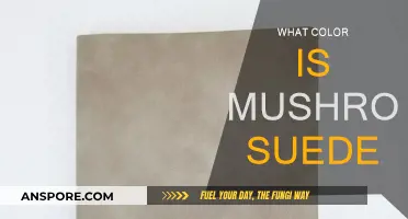 Mushroom Suede: Exploring the Color of This Trendy Material