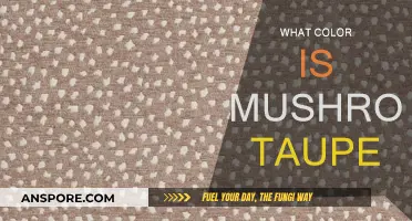 Explore Mushroom Taupe: A Neutral Color