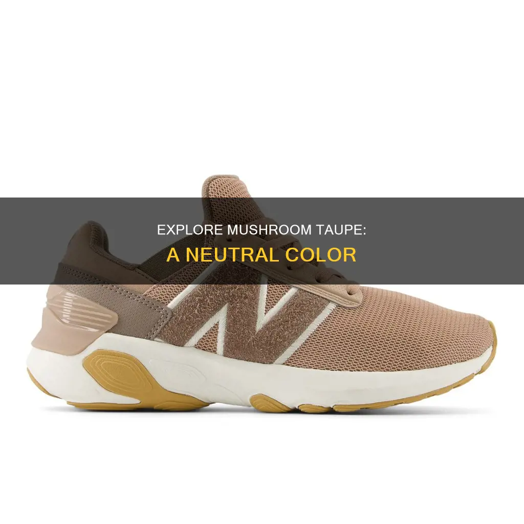 what color is mushroom taupe