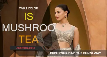 Mushroom Tea: A Warm, Earthy Comfort