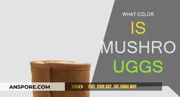 Mushroom UGGs: What's the Color?
