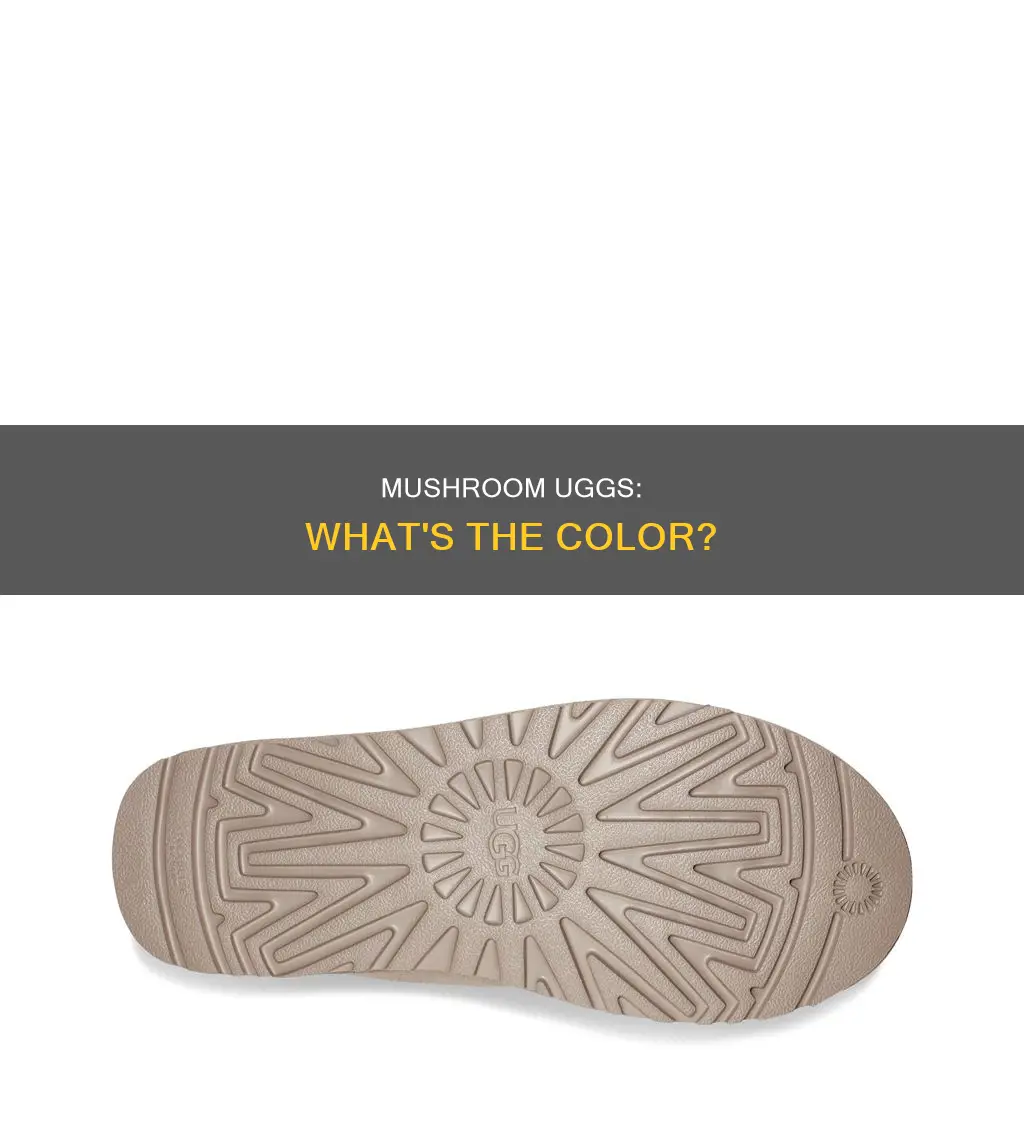 what color is mushroom uggs