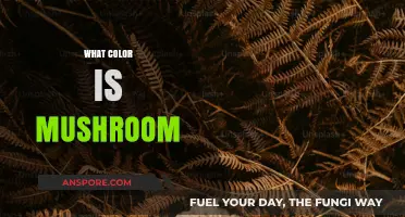 Mushroom Color: Exploring Nature's Neutral Tones